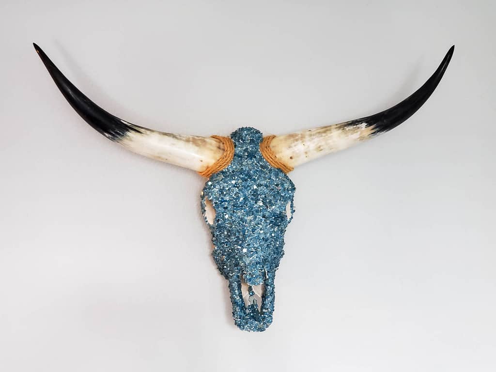 sparkly skull
