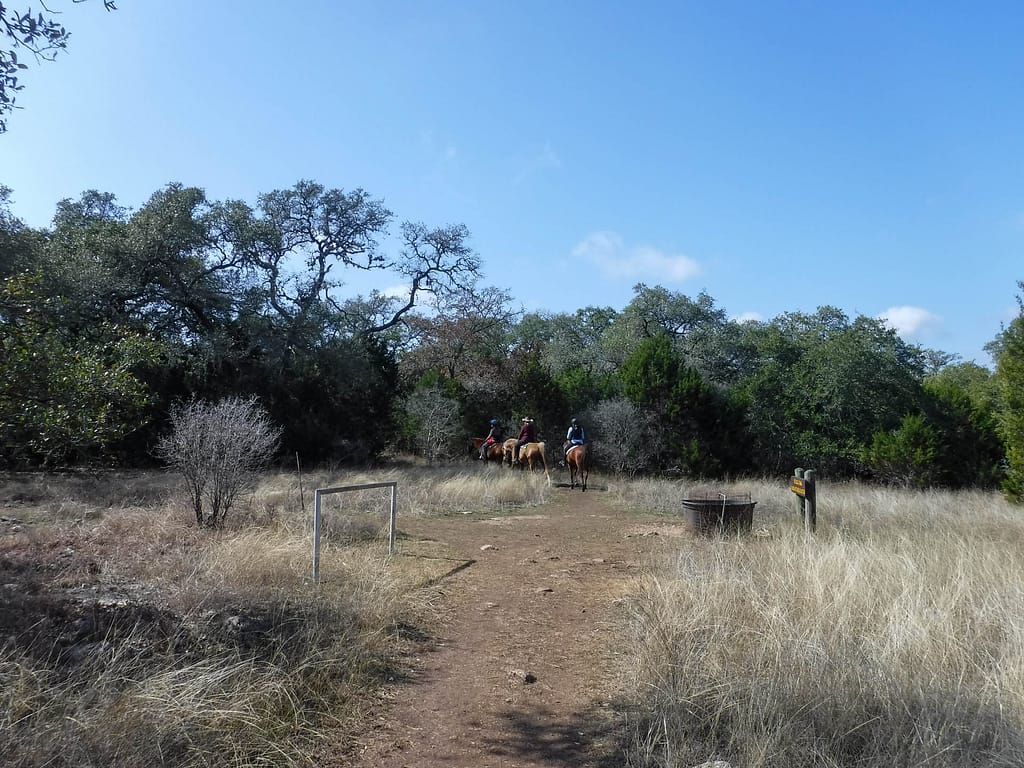 horses on the trail