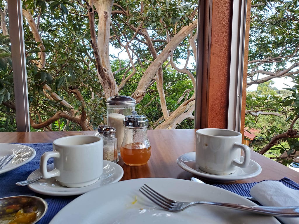 breakfast with a view