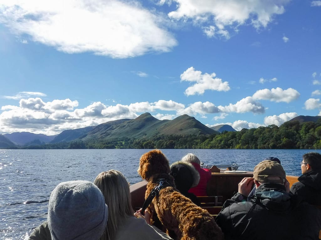 dog on boat