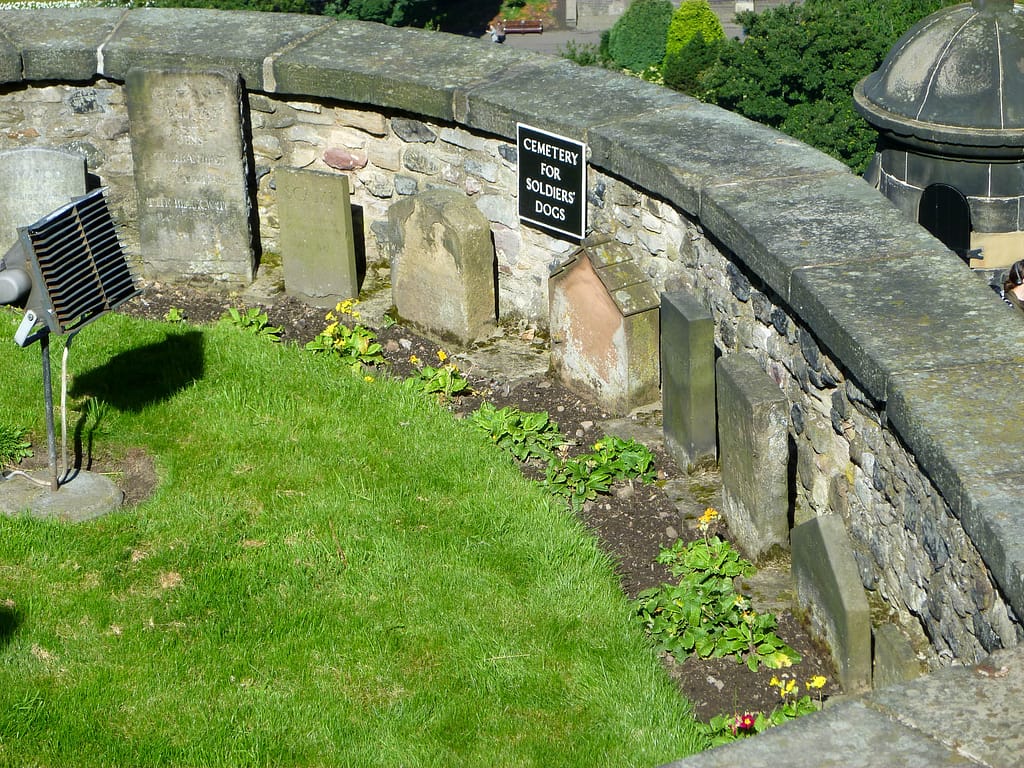 dog cemetery