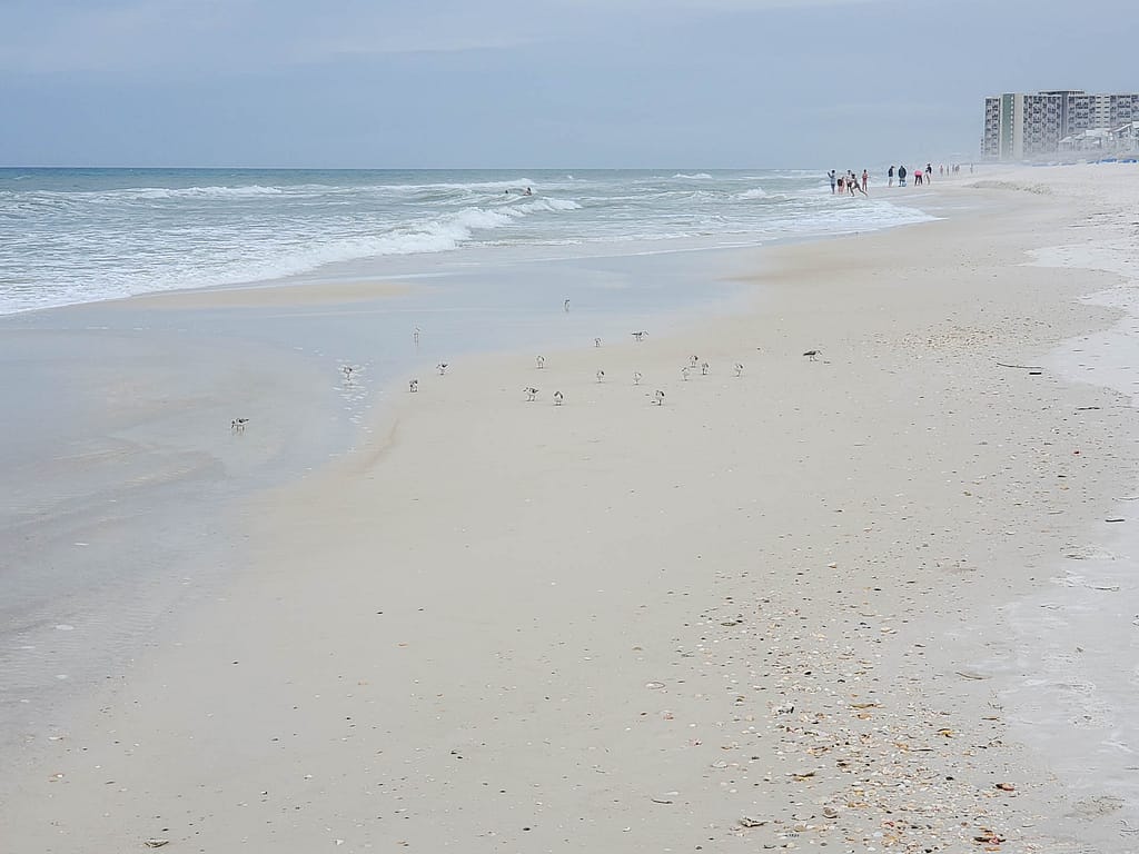 beach toward Rosemary Beach