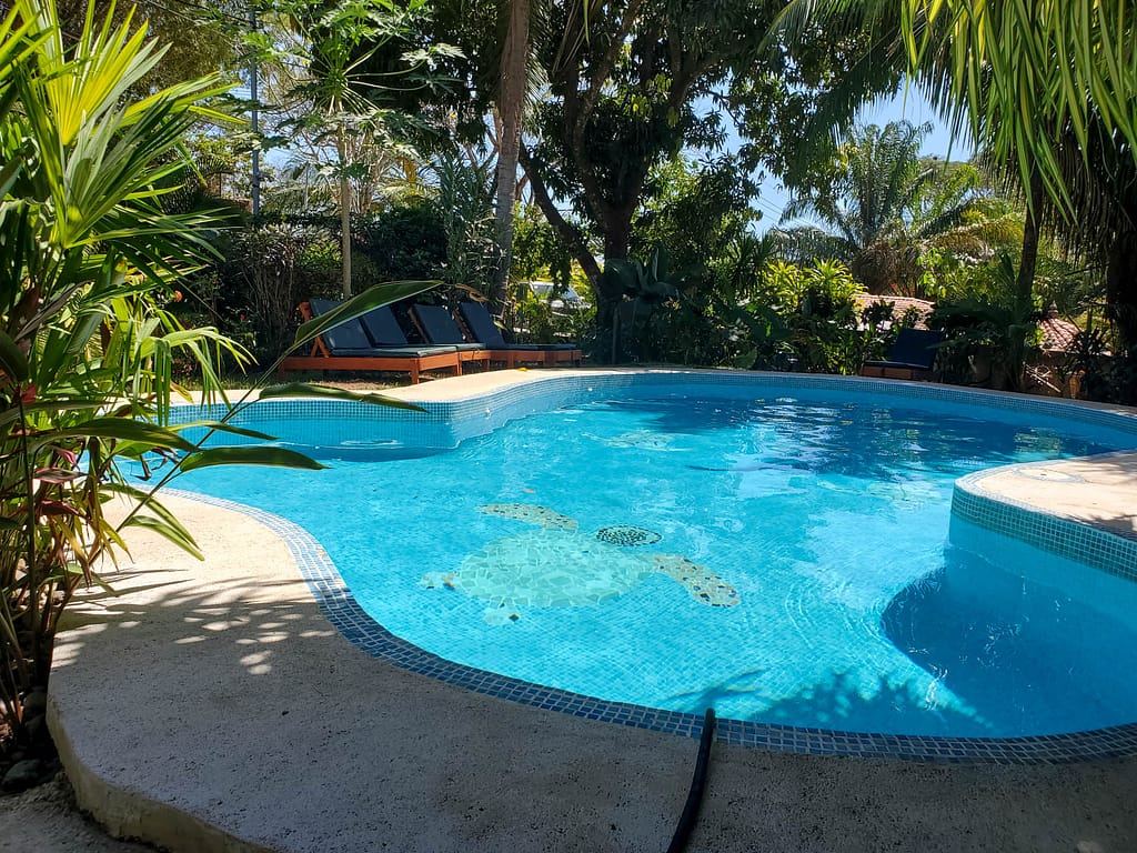 Entre Dos Aguas pool