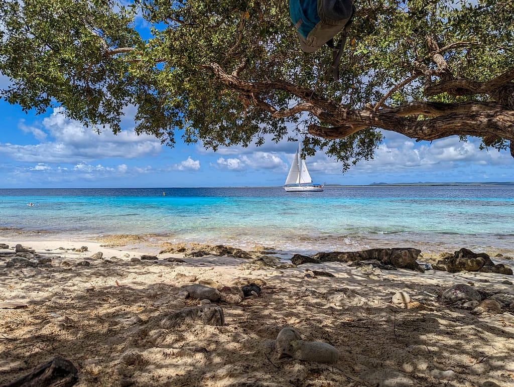 sailboat