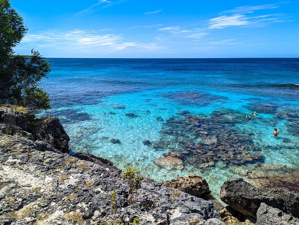 reef
