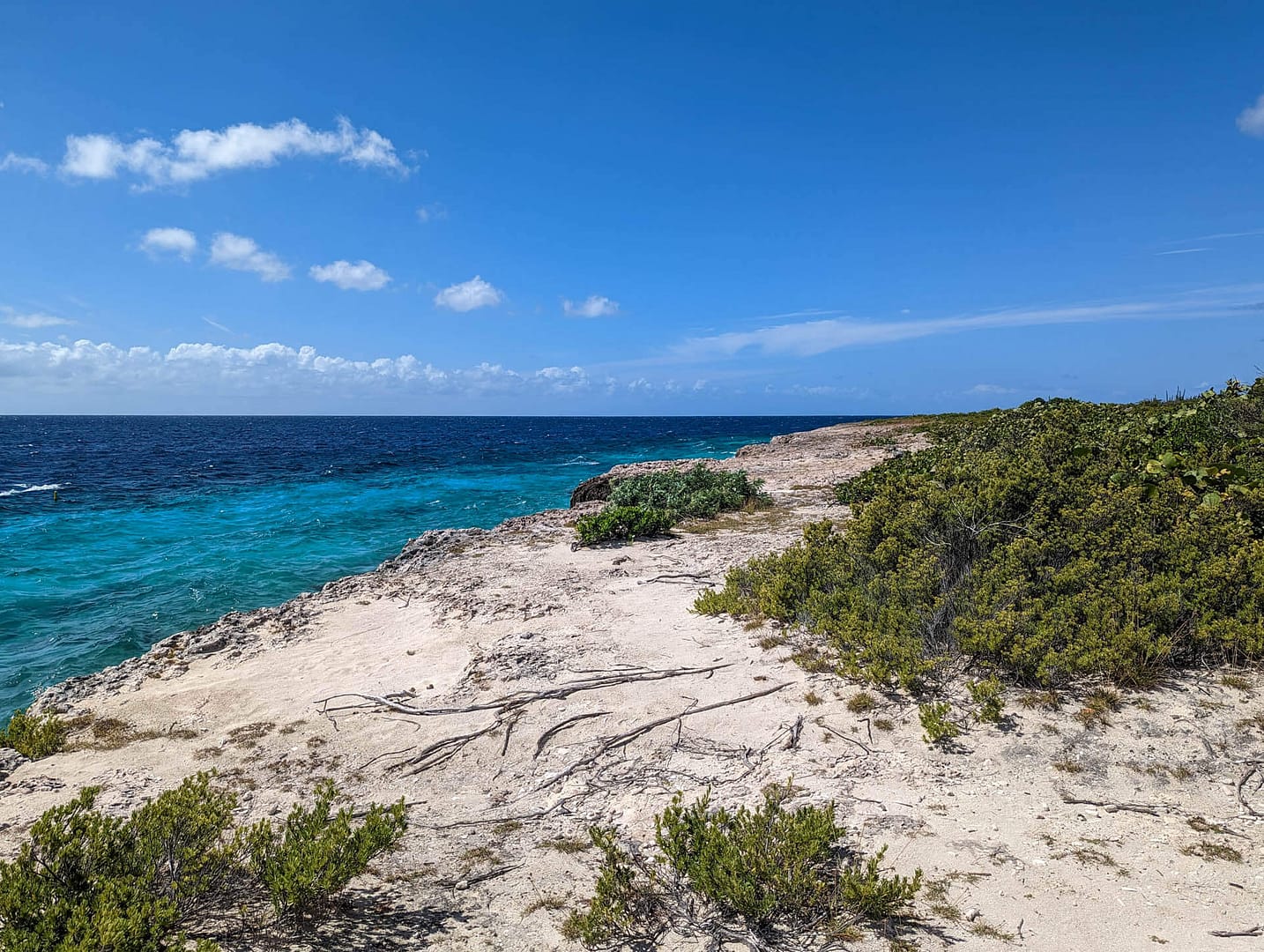 shoreline