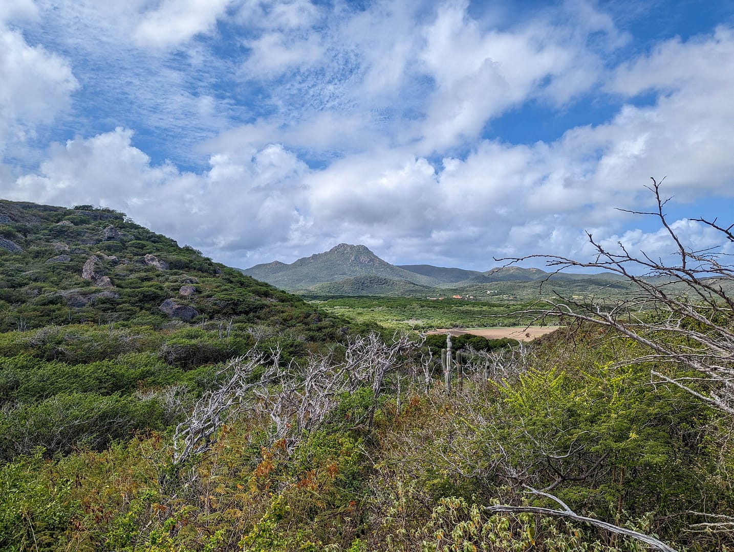 park overlook