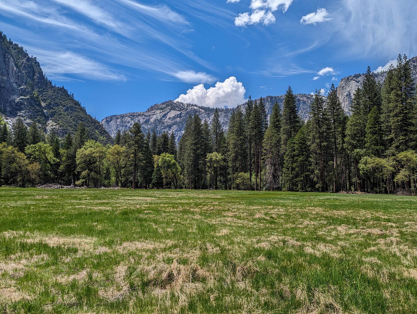 Stoneman Meadow