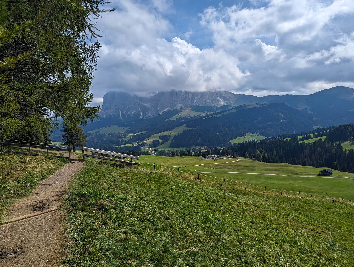 alpine meadow
