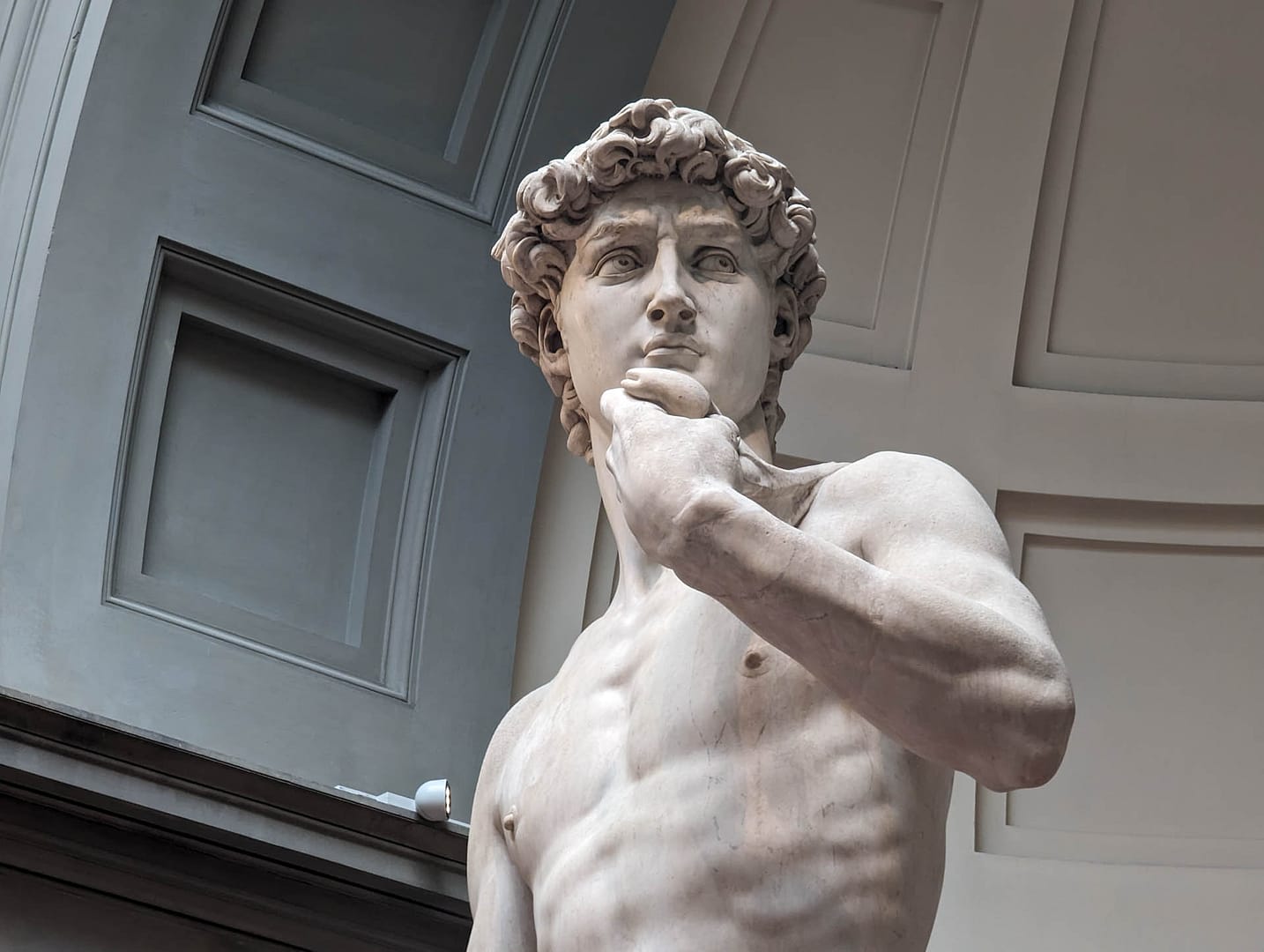 David statue head