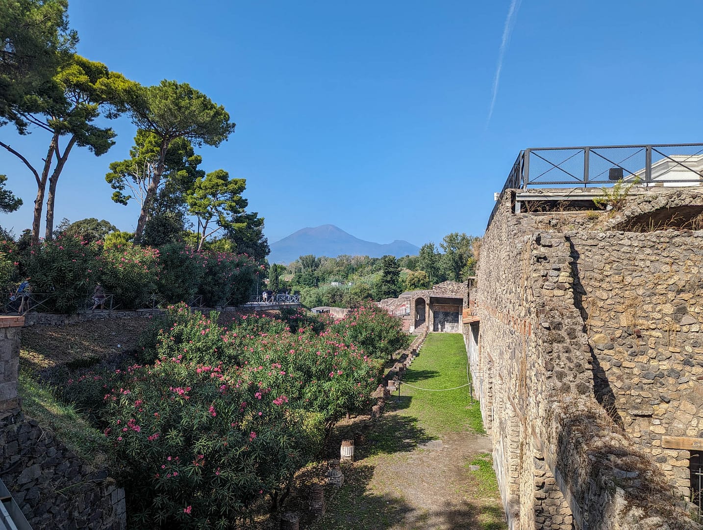 Pompeii with Mt Vesuvius in the background