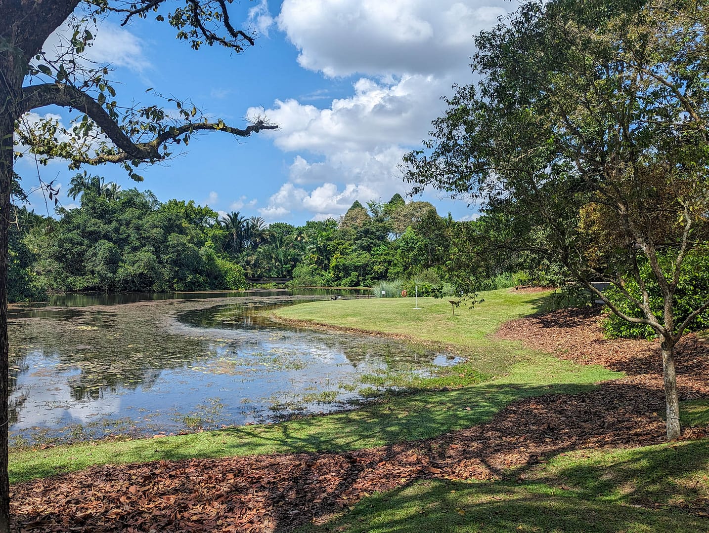 lake view