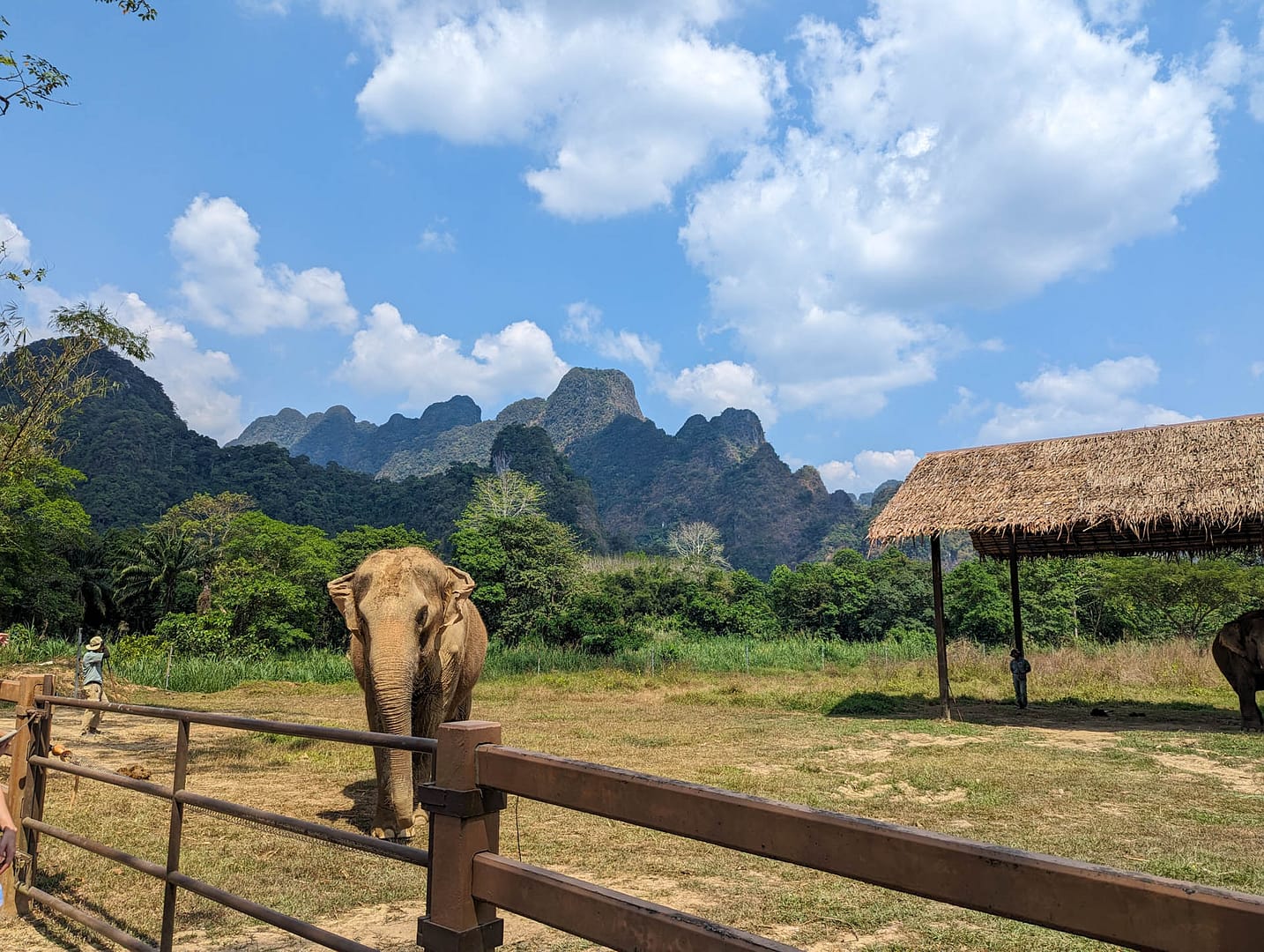 elephant with mountains in background