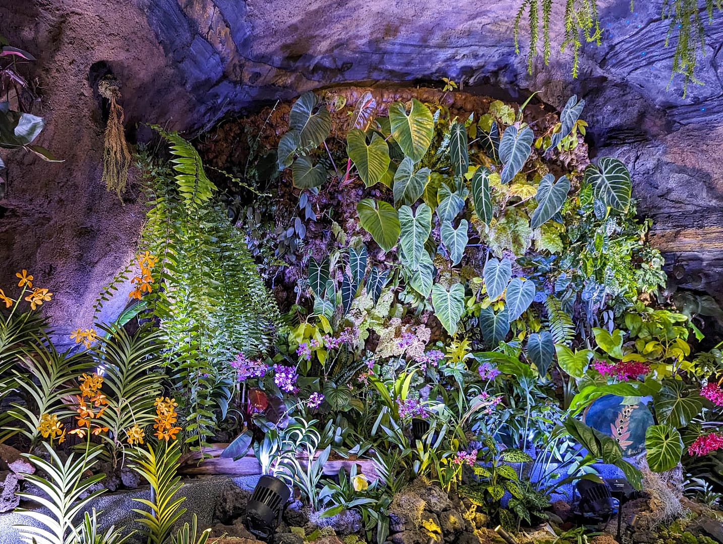 flowery cave