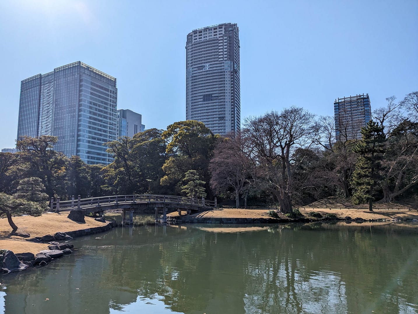 skyscrapers and pond