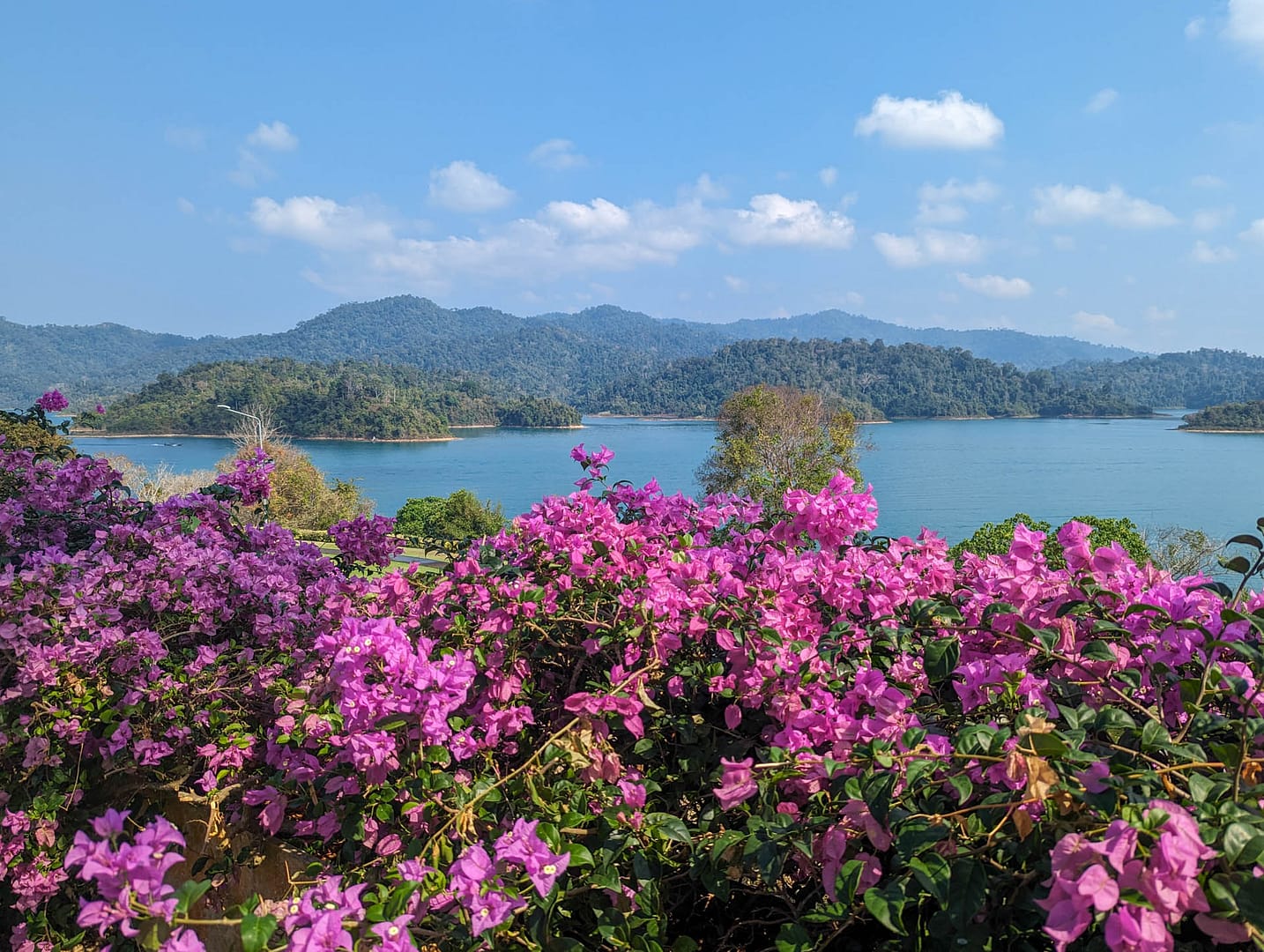 Cheow Larn Lake with flowers