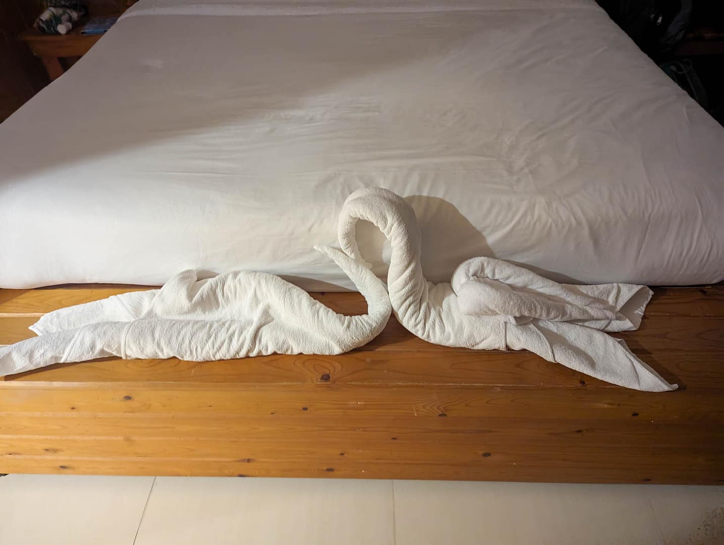 towel swans