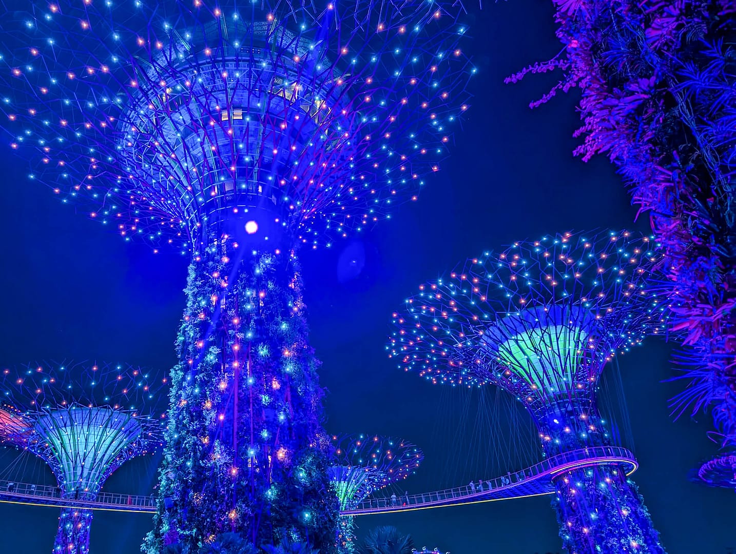 blue lights