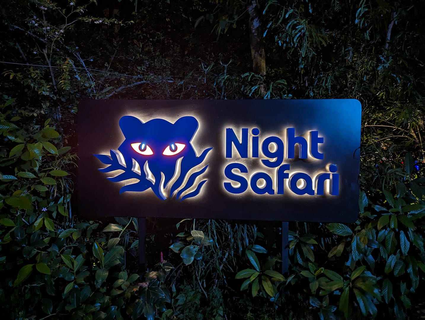 Night Safari sign