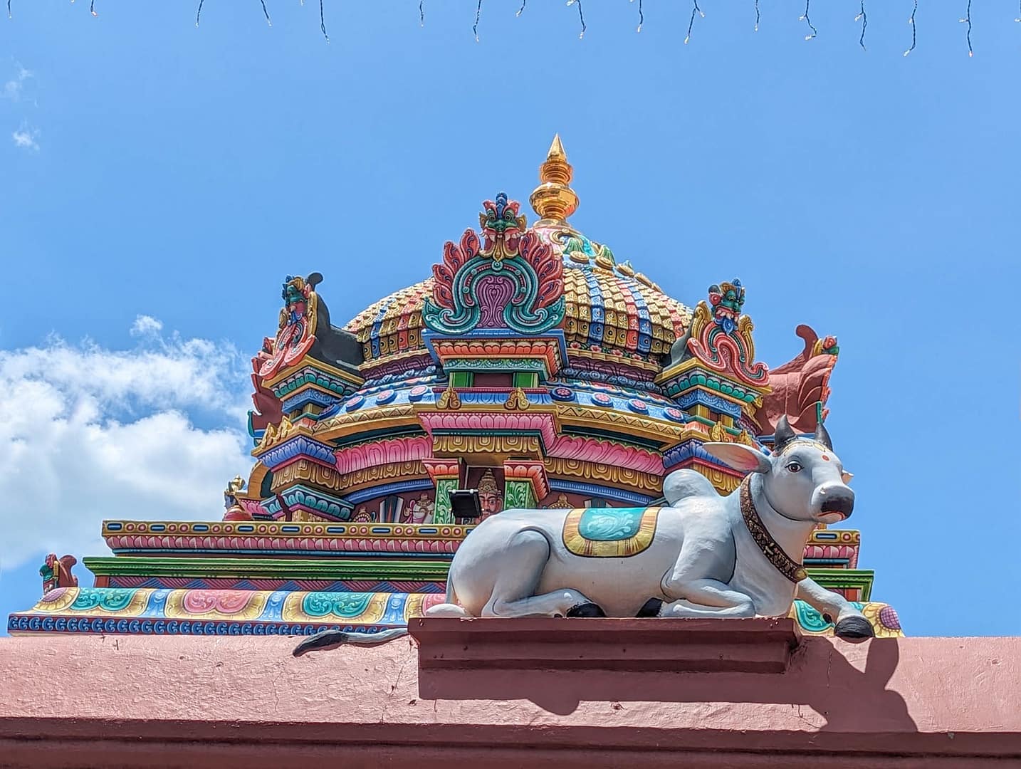 temple roof with cow