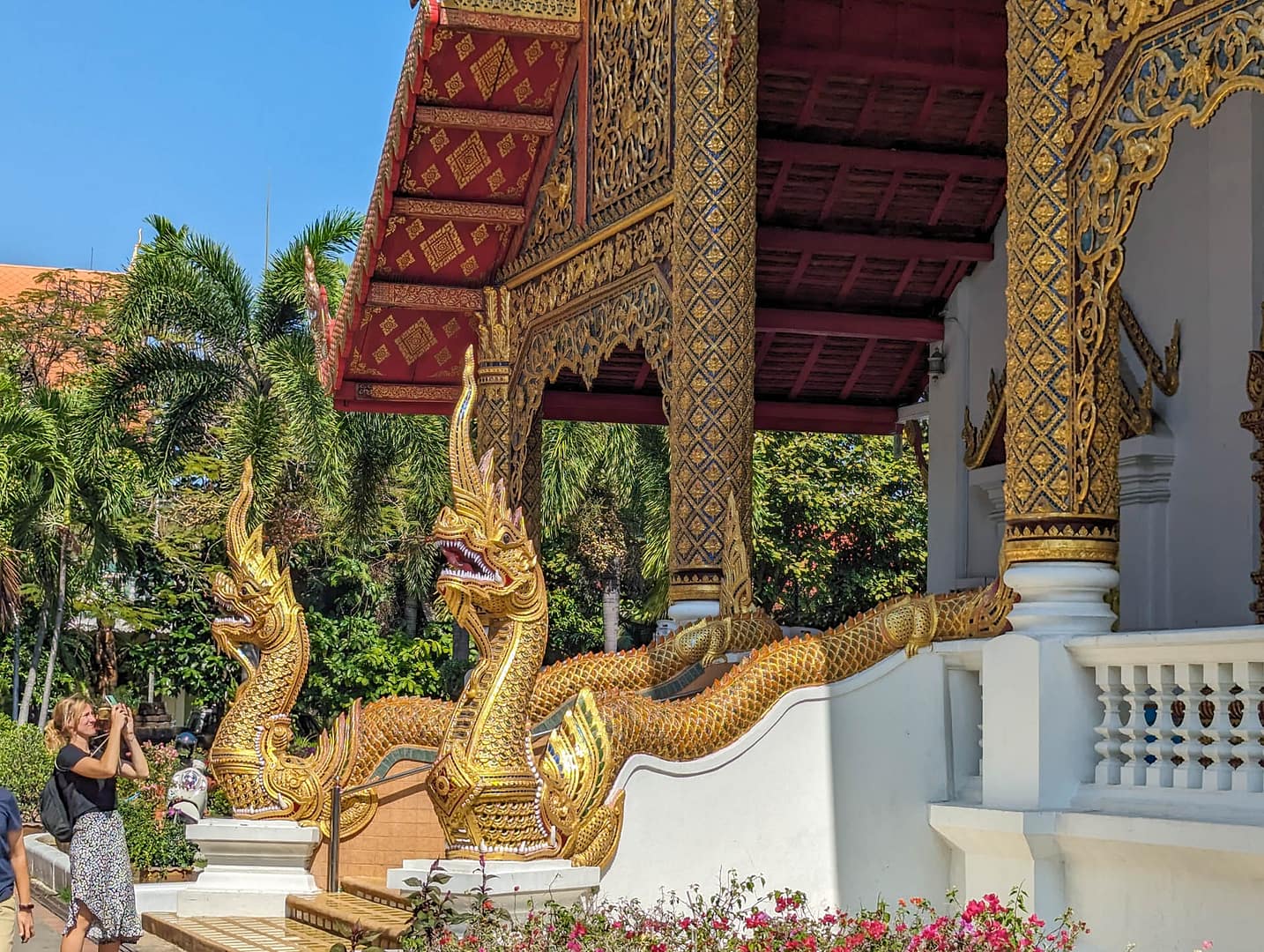 nagas