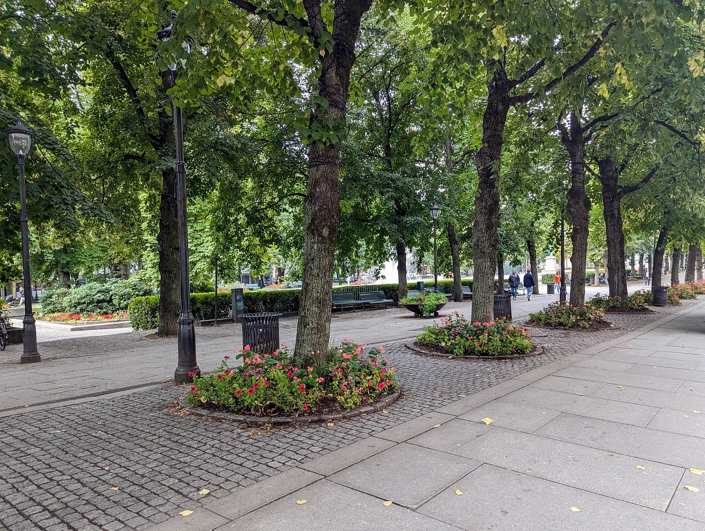tree-lined sidewalk