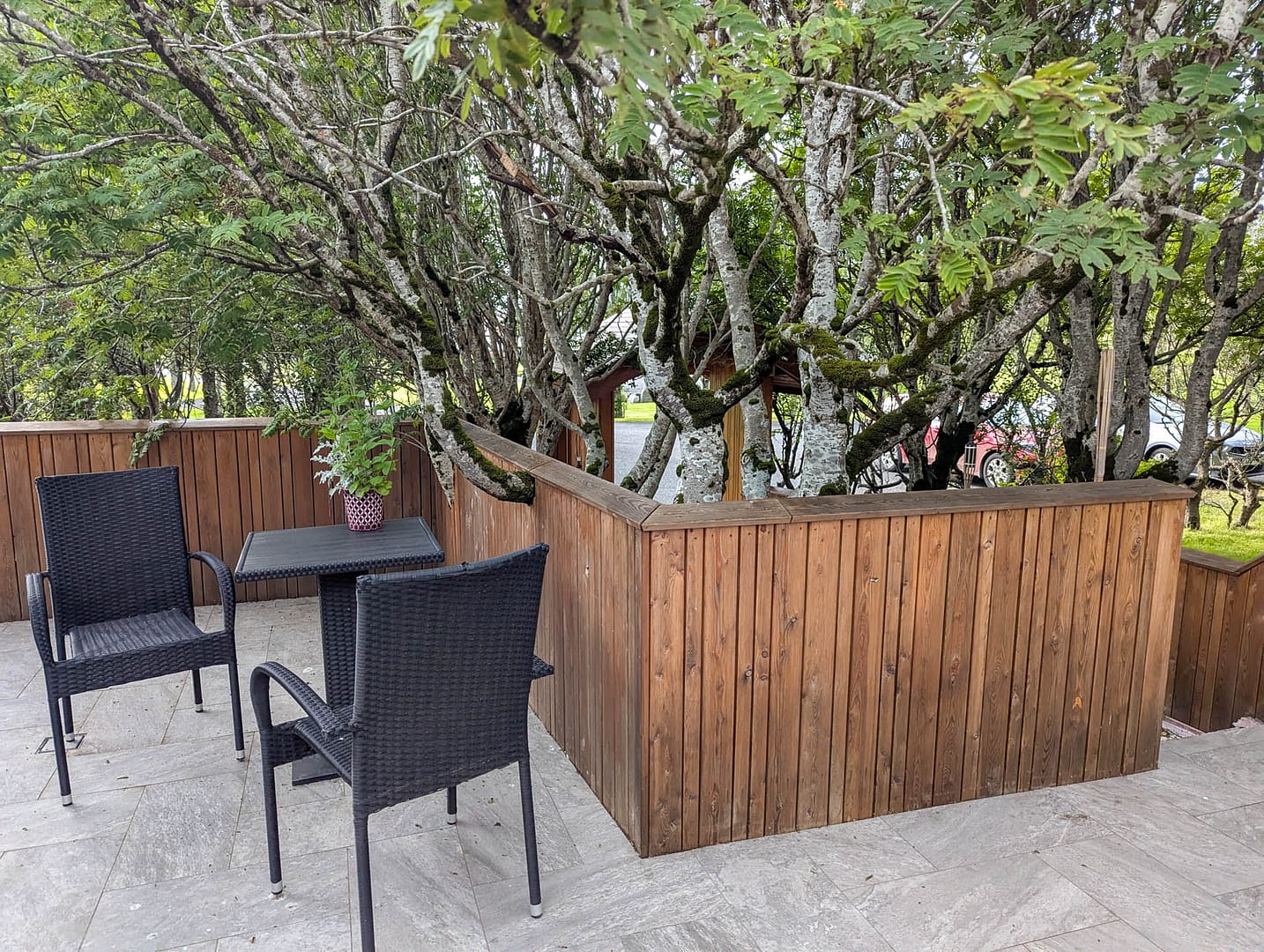 birches with seating area