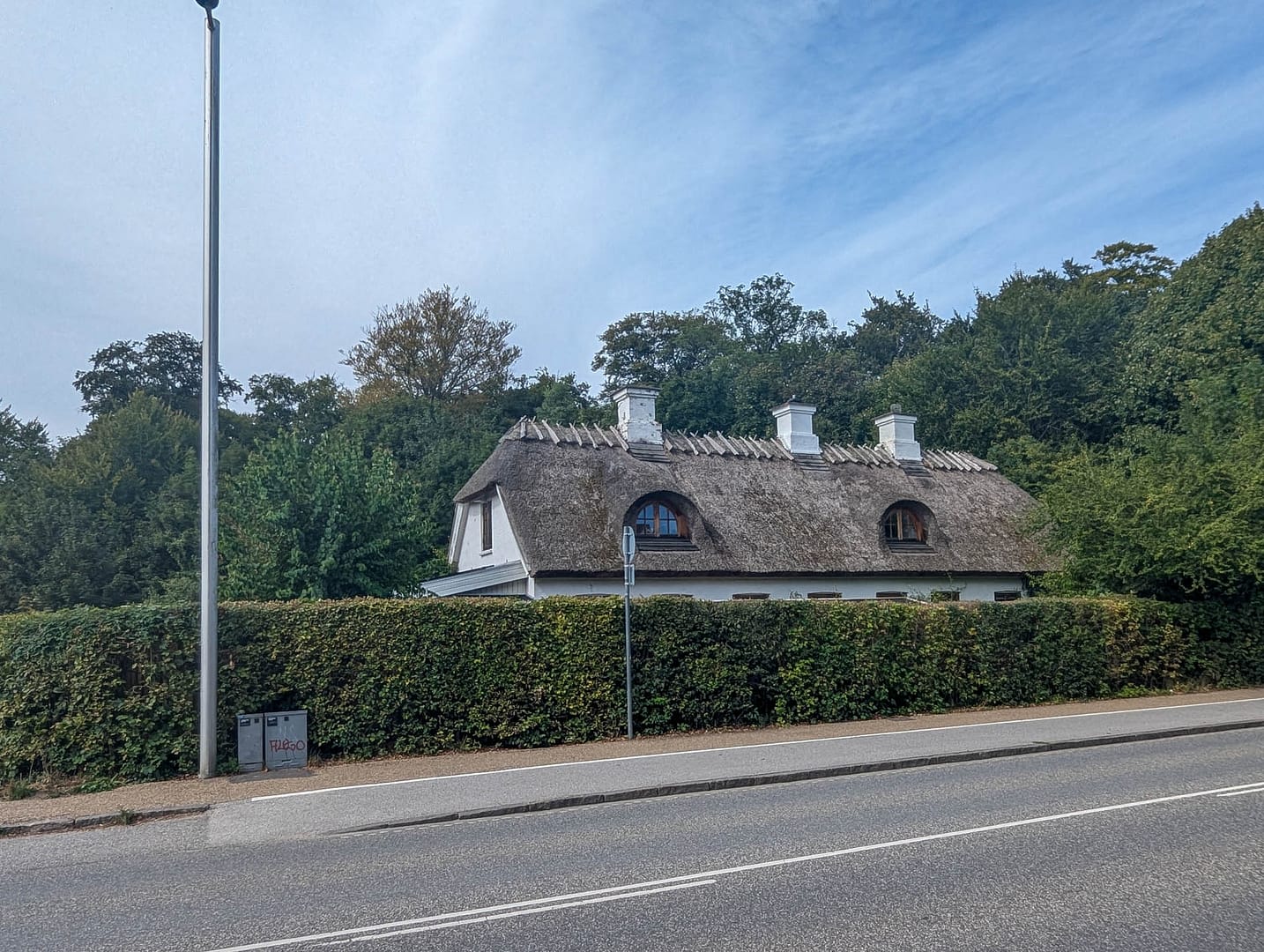 thatched roof house