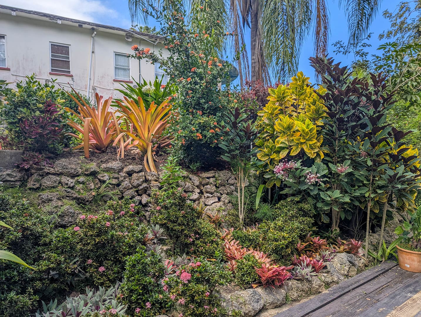 colorful flowers near building