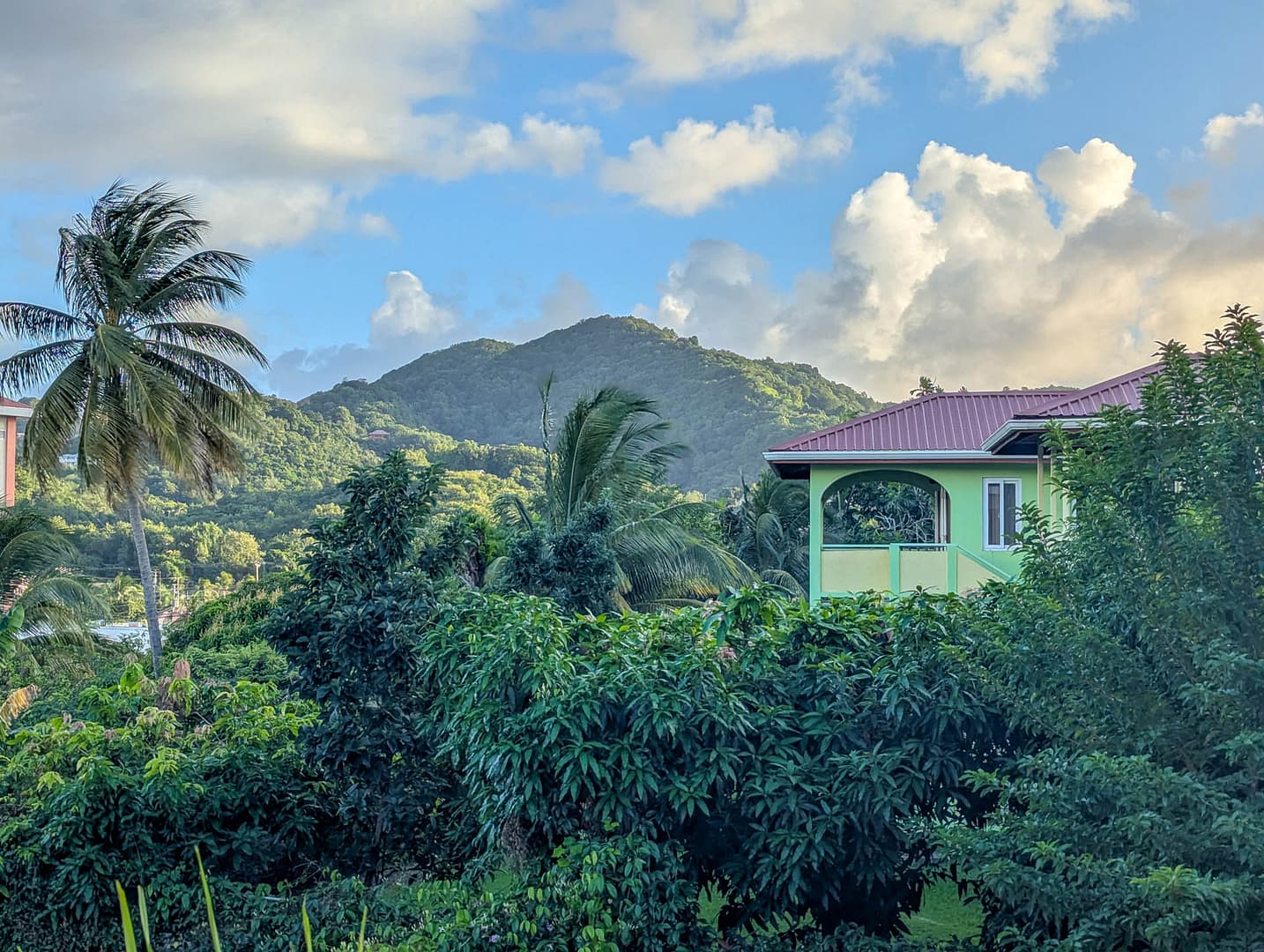 green house with tropical mountains