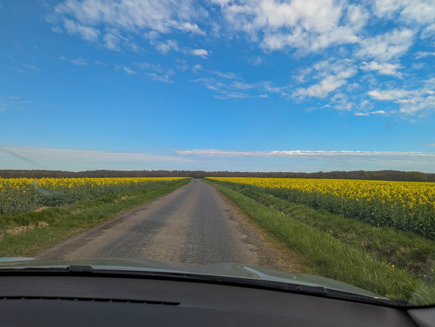 flat land with canola fields