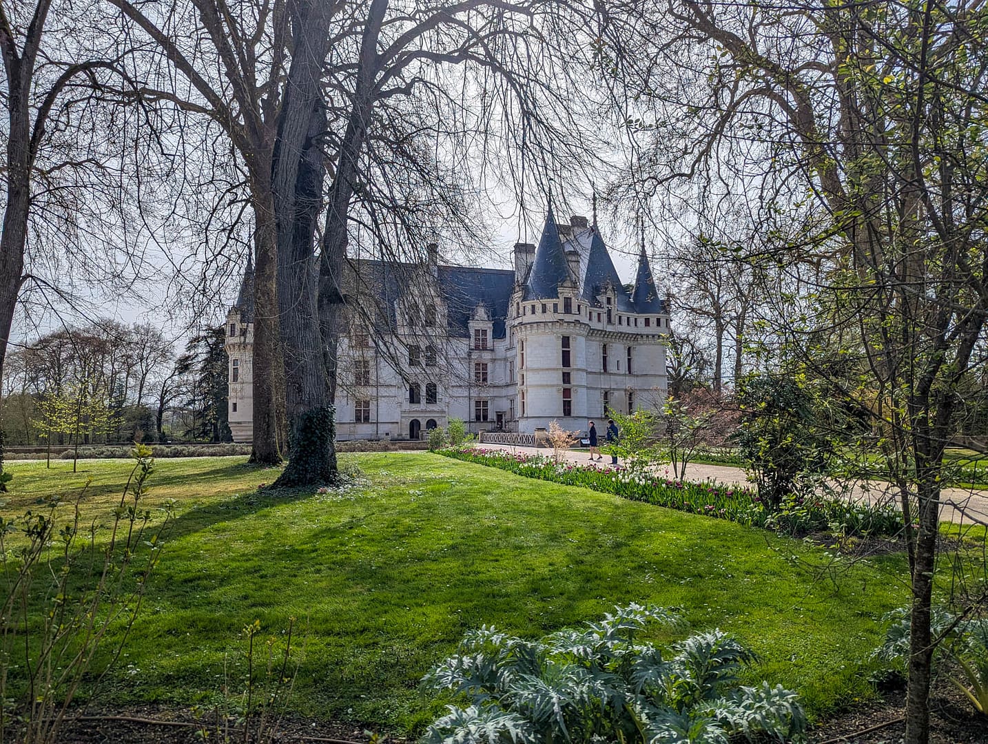 chateau with tree in foreground