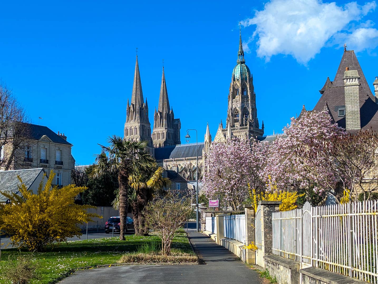 cathedral with flowering trees