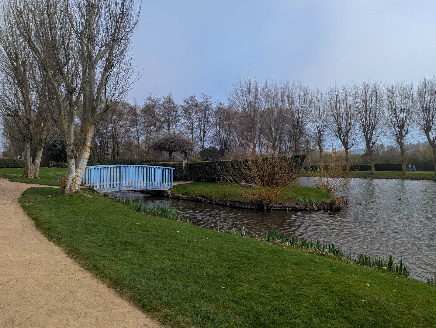 island in pond