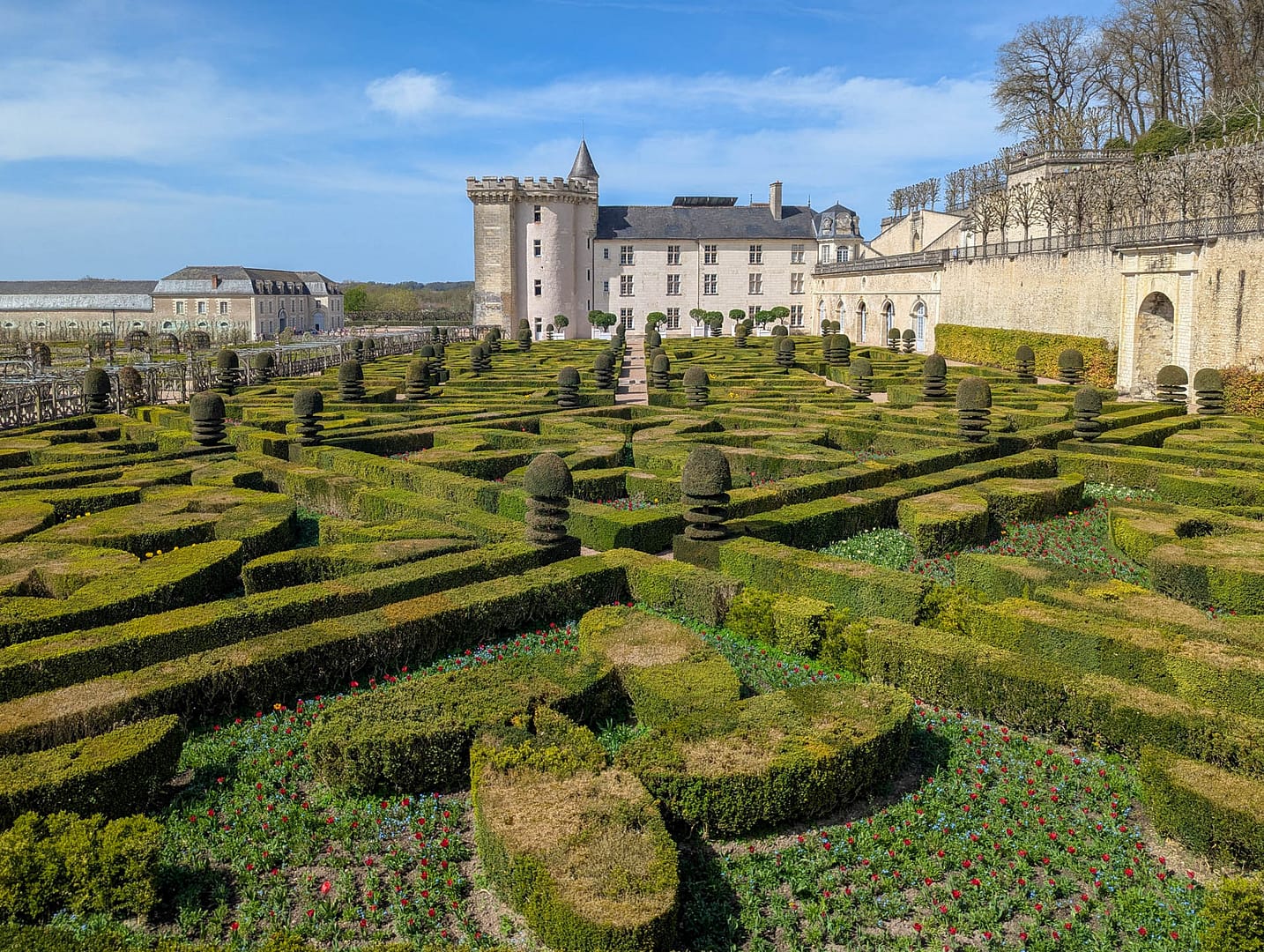 garden view