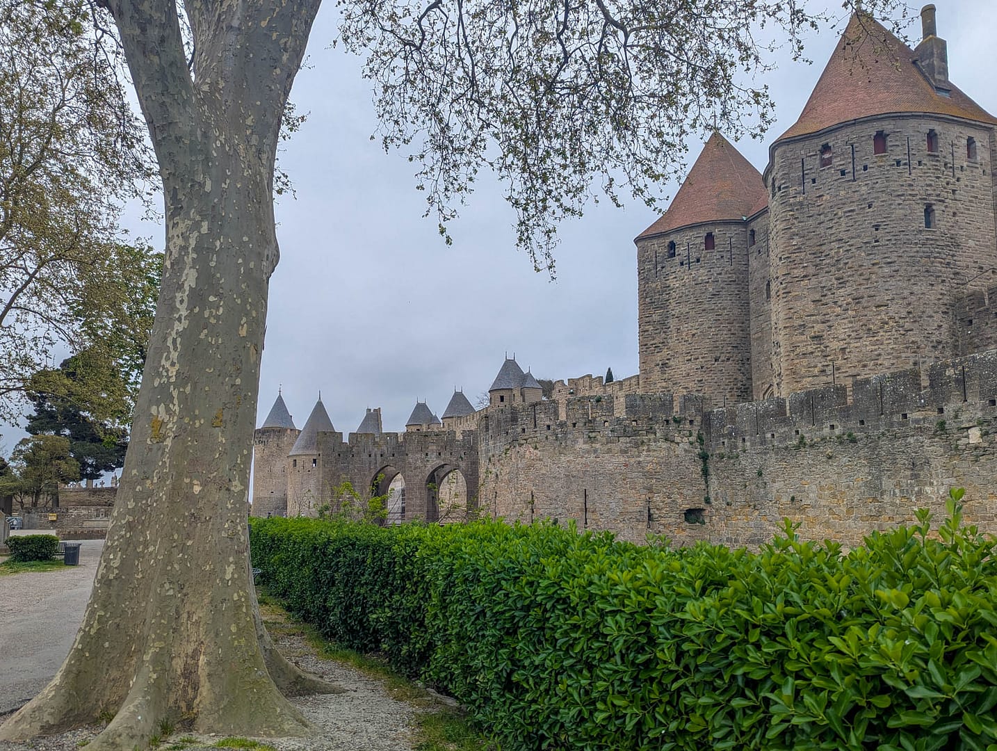 castle wall with tree in foreground