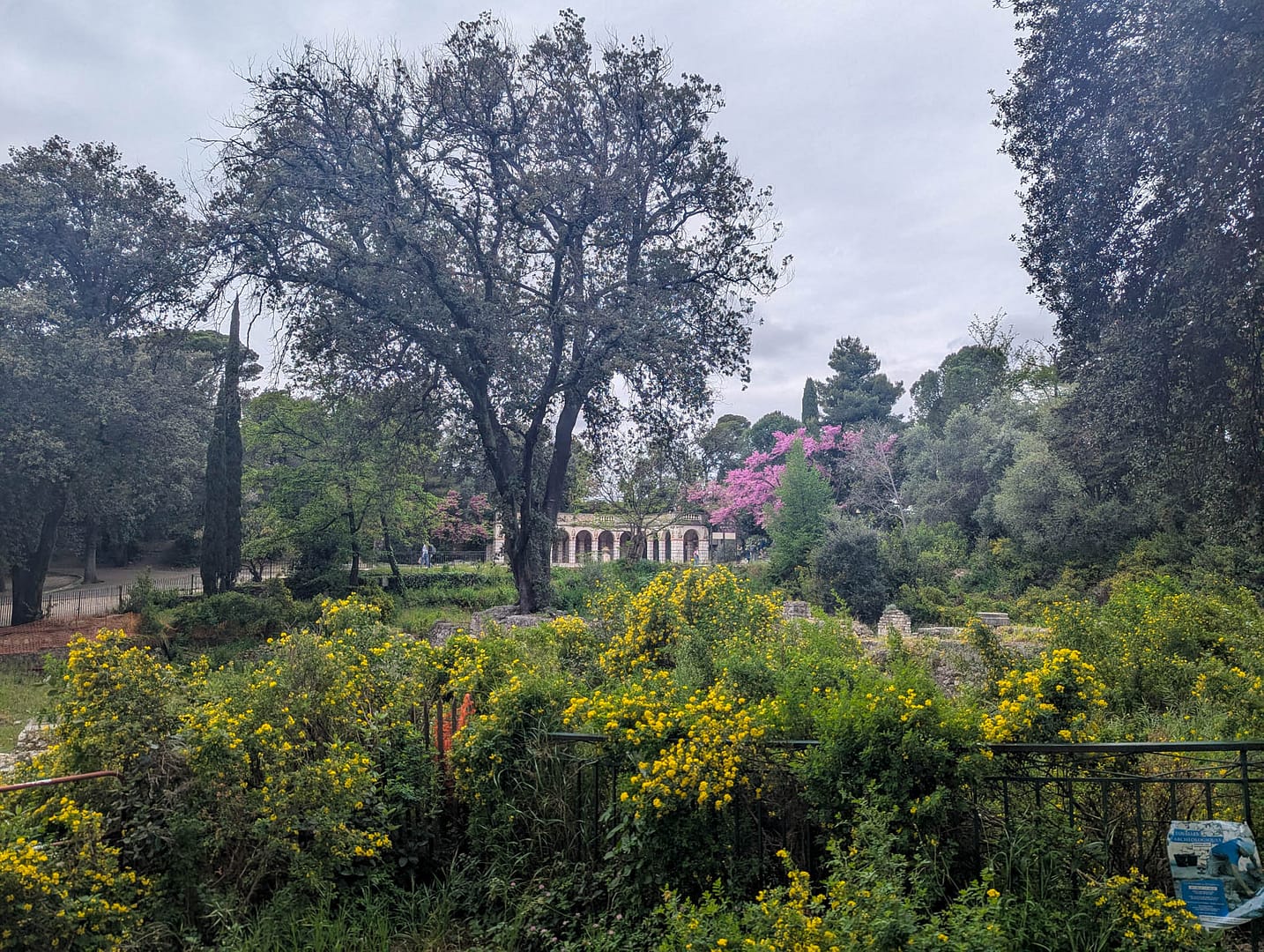 gardens on Castle Hill