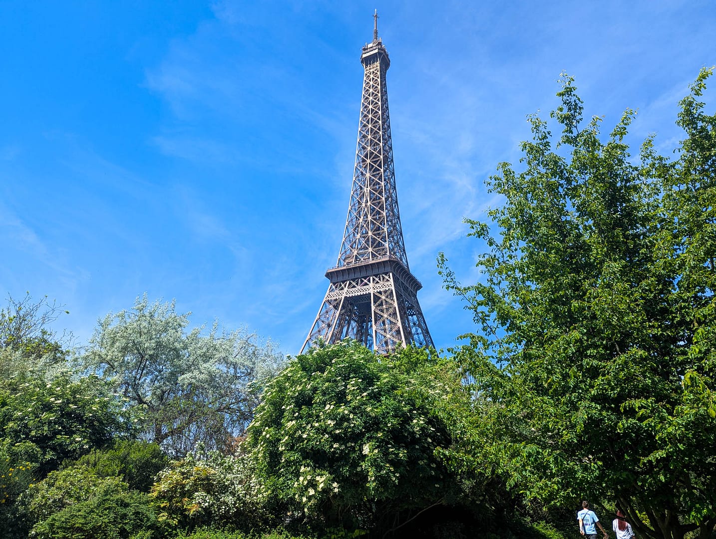Eiffel Tower behind trees