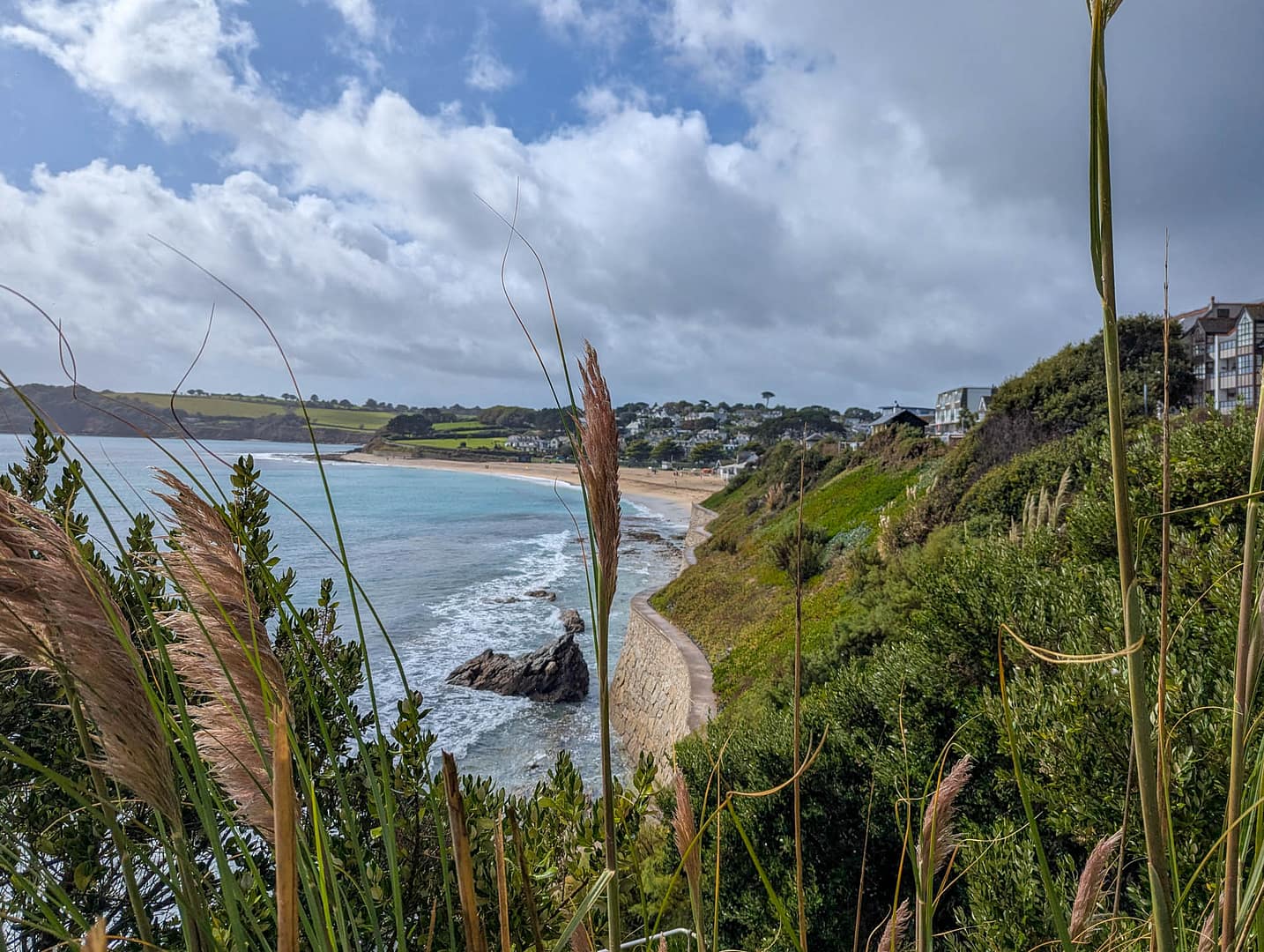 beach with grass in foreground