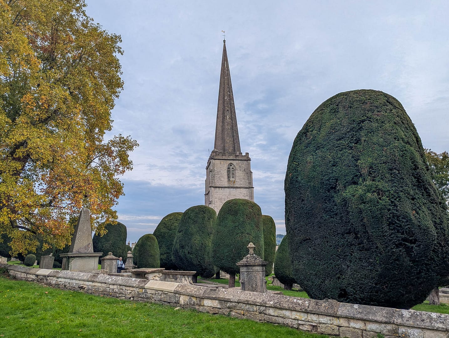church spire with yews