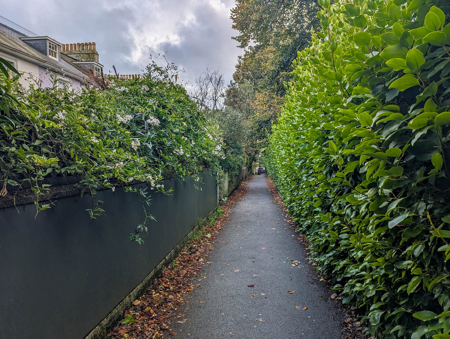 leafy footpath