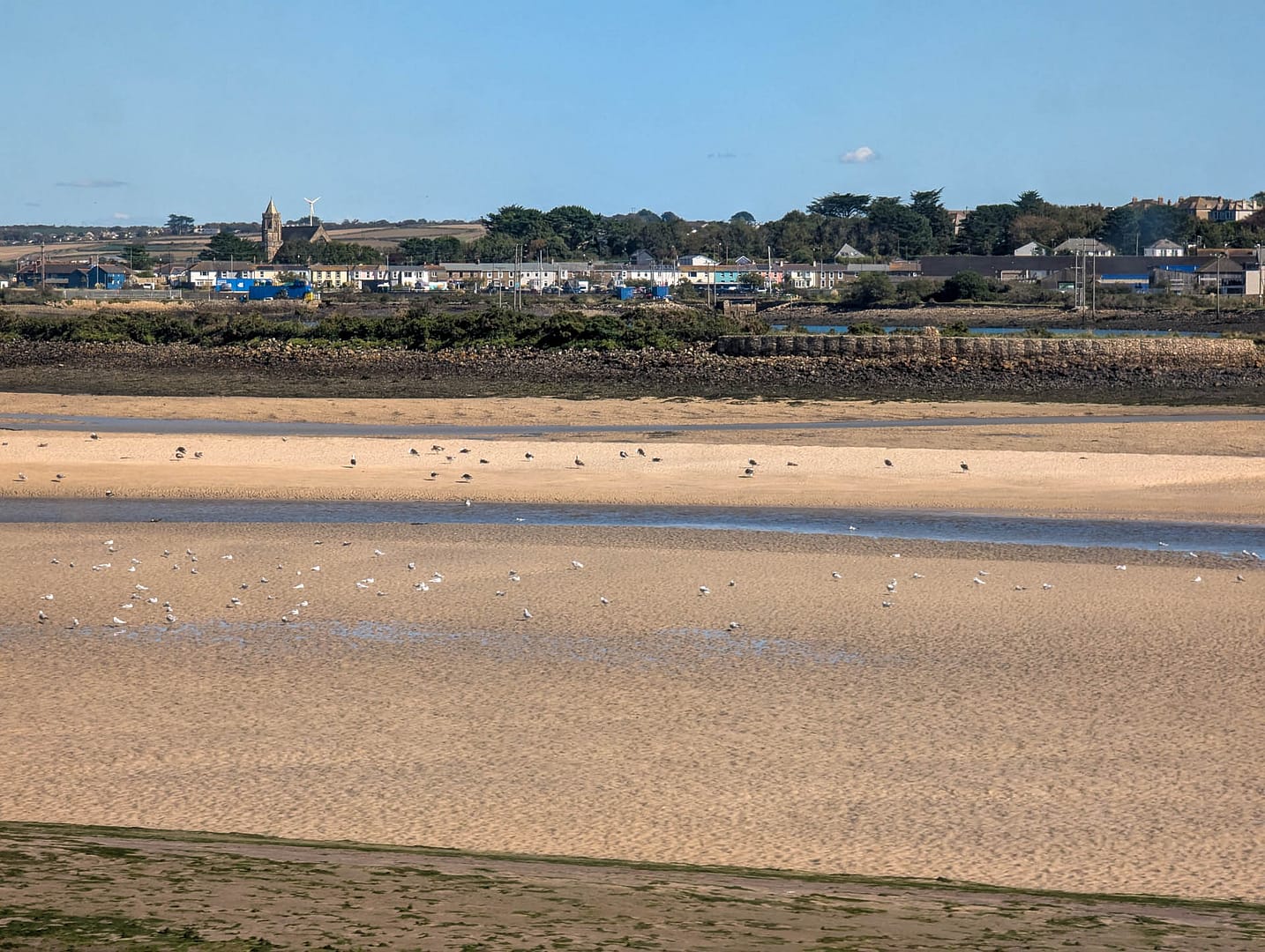 estuary
