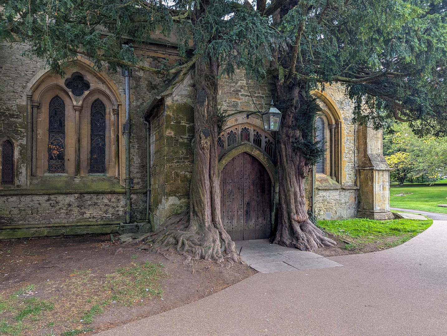 church doors with trees