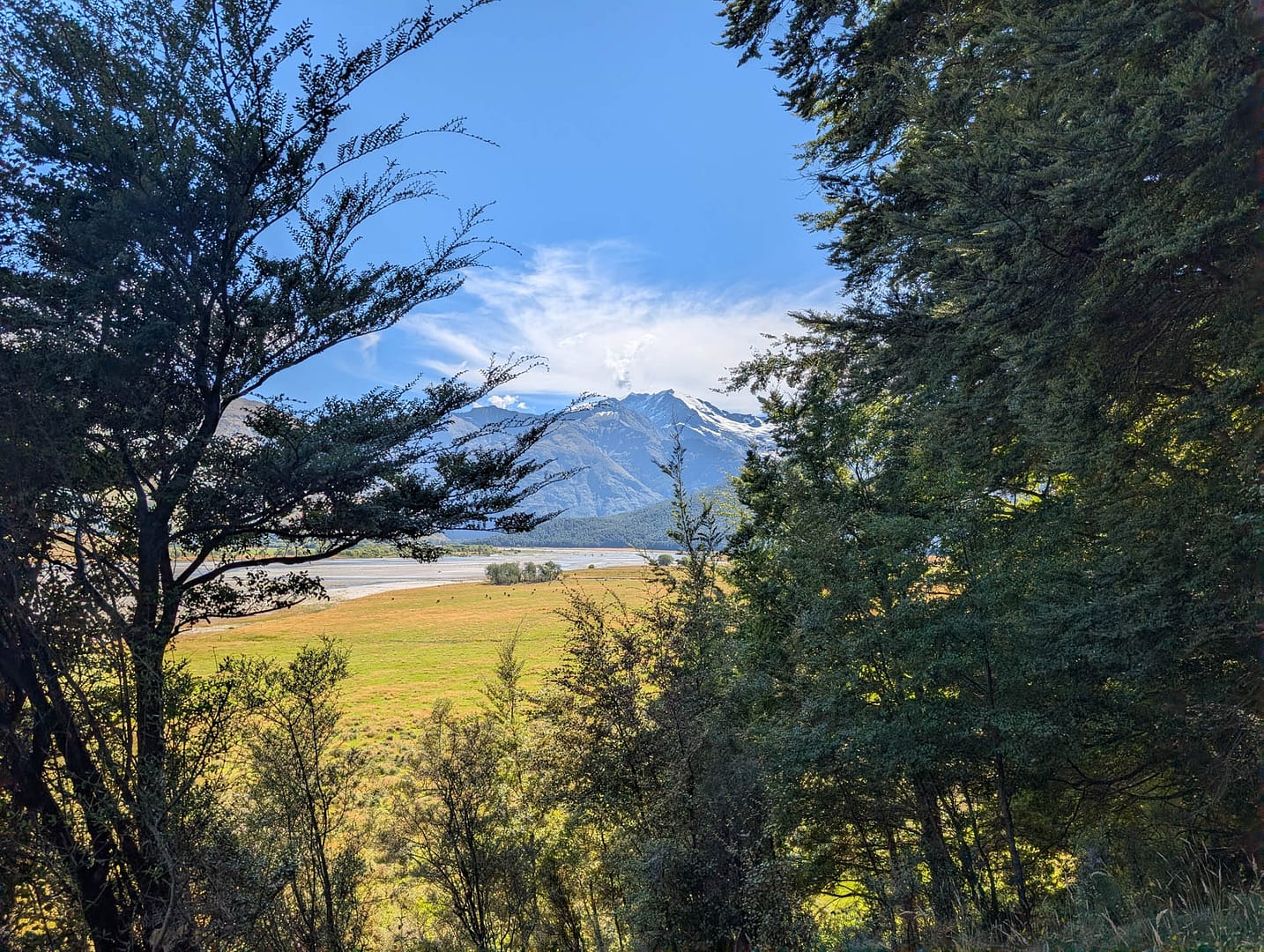 mountains framed by trees