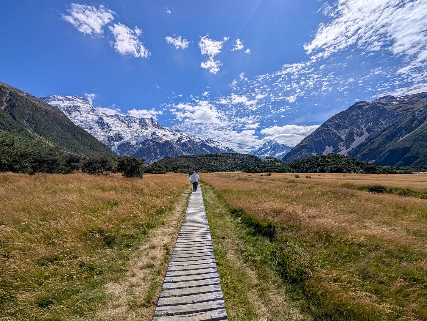 boardwalk leading to mountains