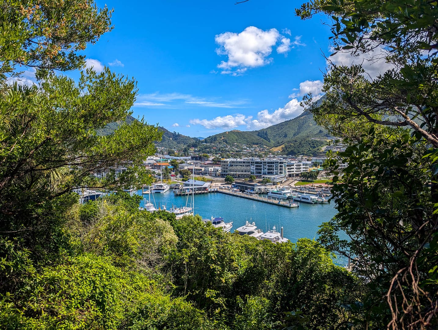 Picton marina