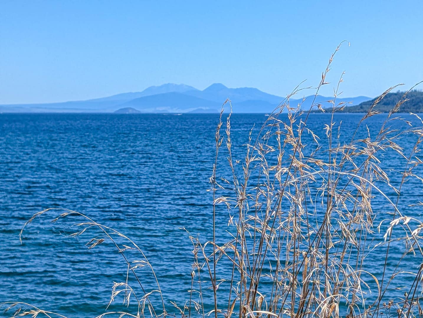 lake with mountains in background and grass in foreground
