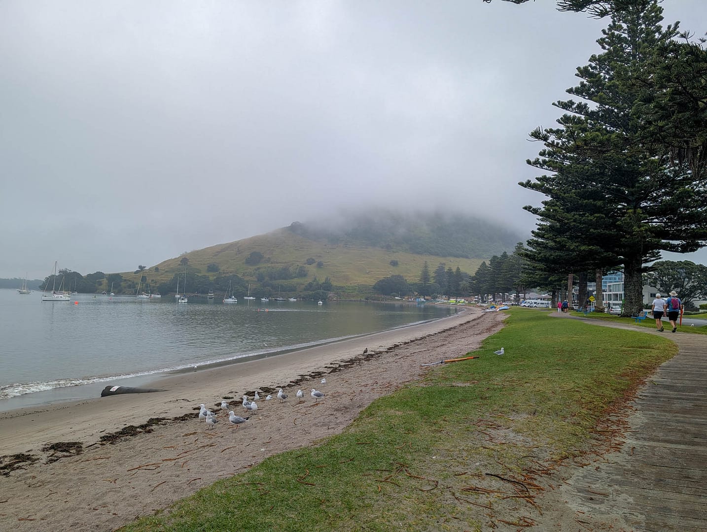 mist shrouding Mt Maunganui