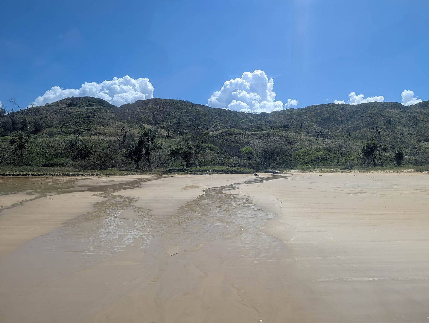 beach with streams