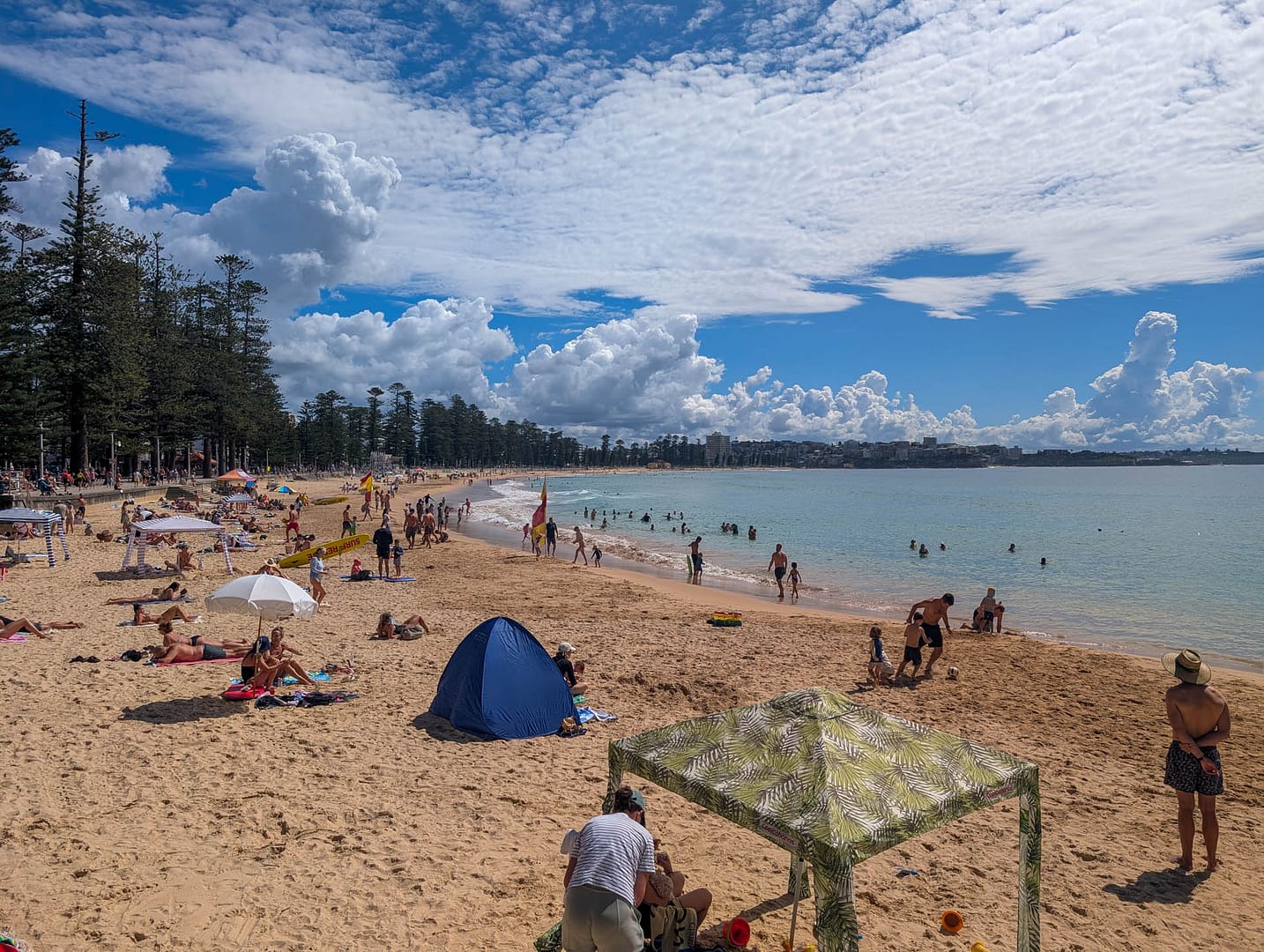 tree fringed beach with shade shelters